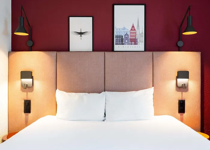 Ibis Strasbourg Centre Petite France Hotel